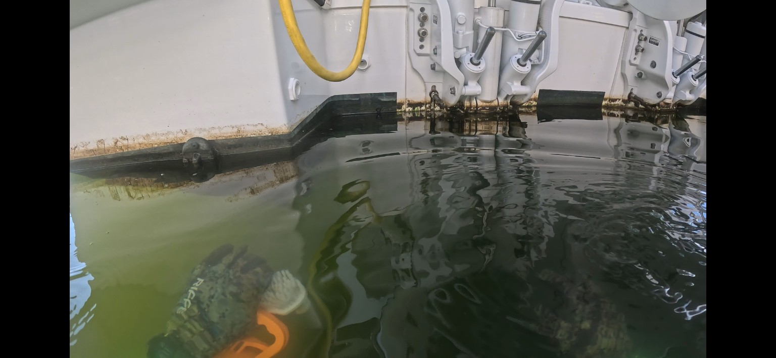 Underwater hull cleaning work at the transom and waterline